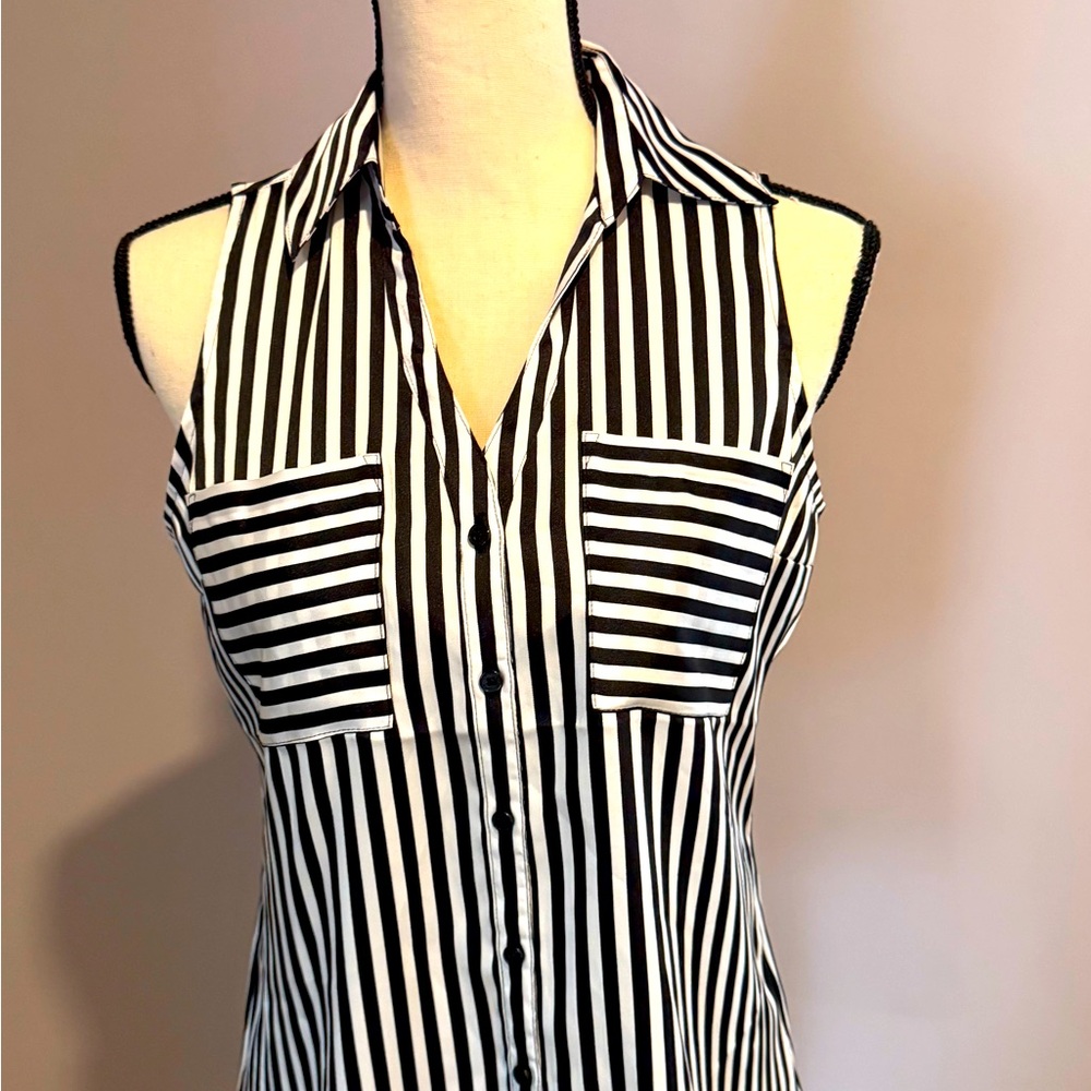Express Slim Fit Blouse